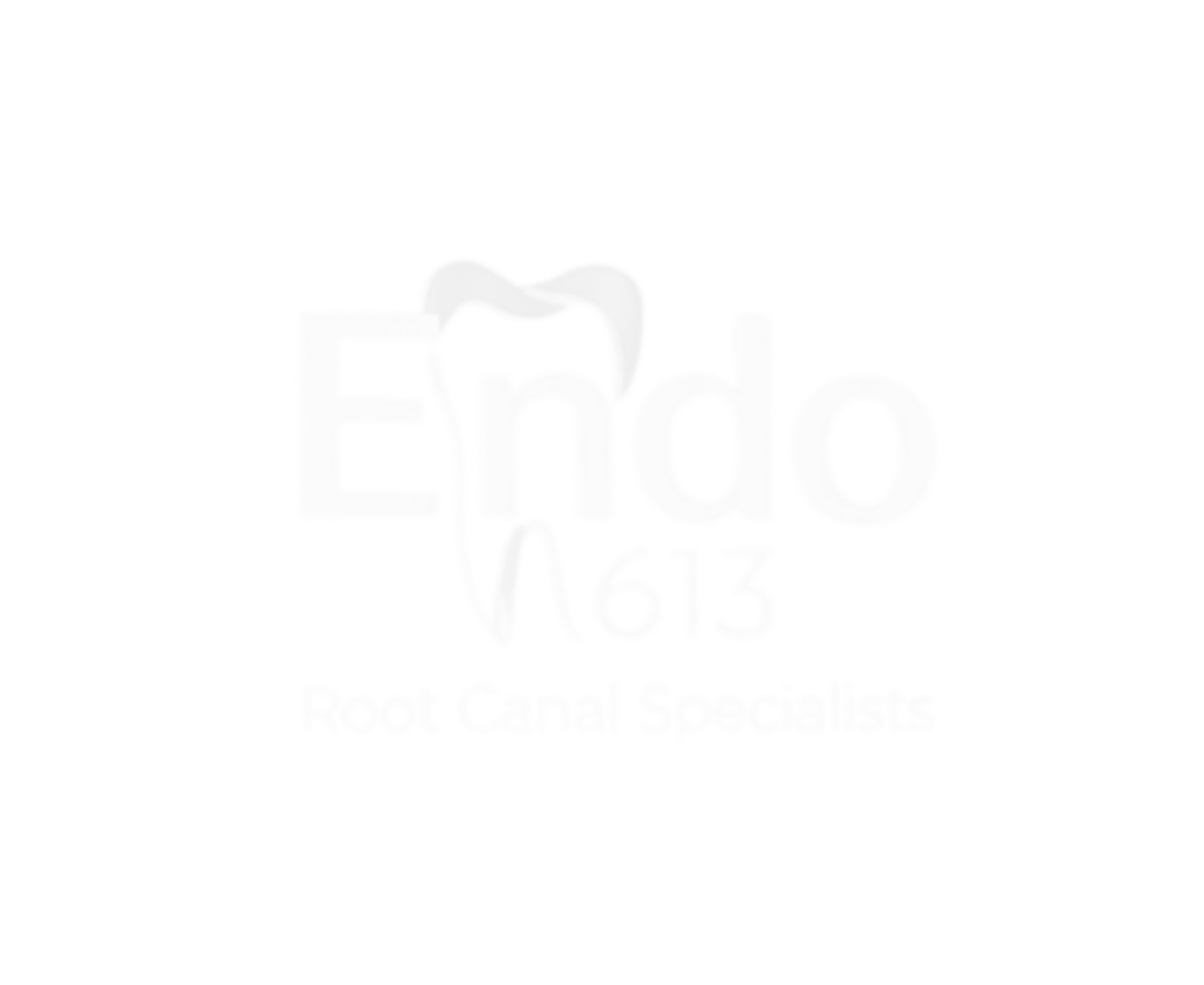 Endo 613 Logo in White